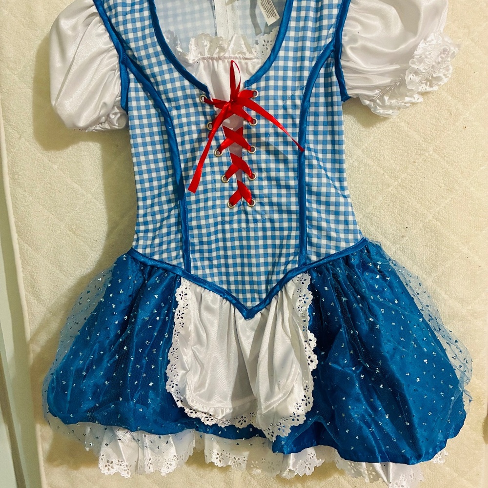 Wizard of Oz Girl's "Dorothy" Costume Size Small